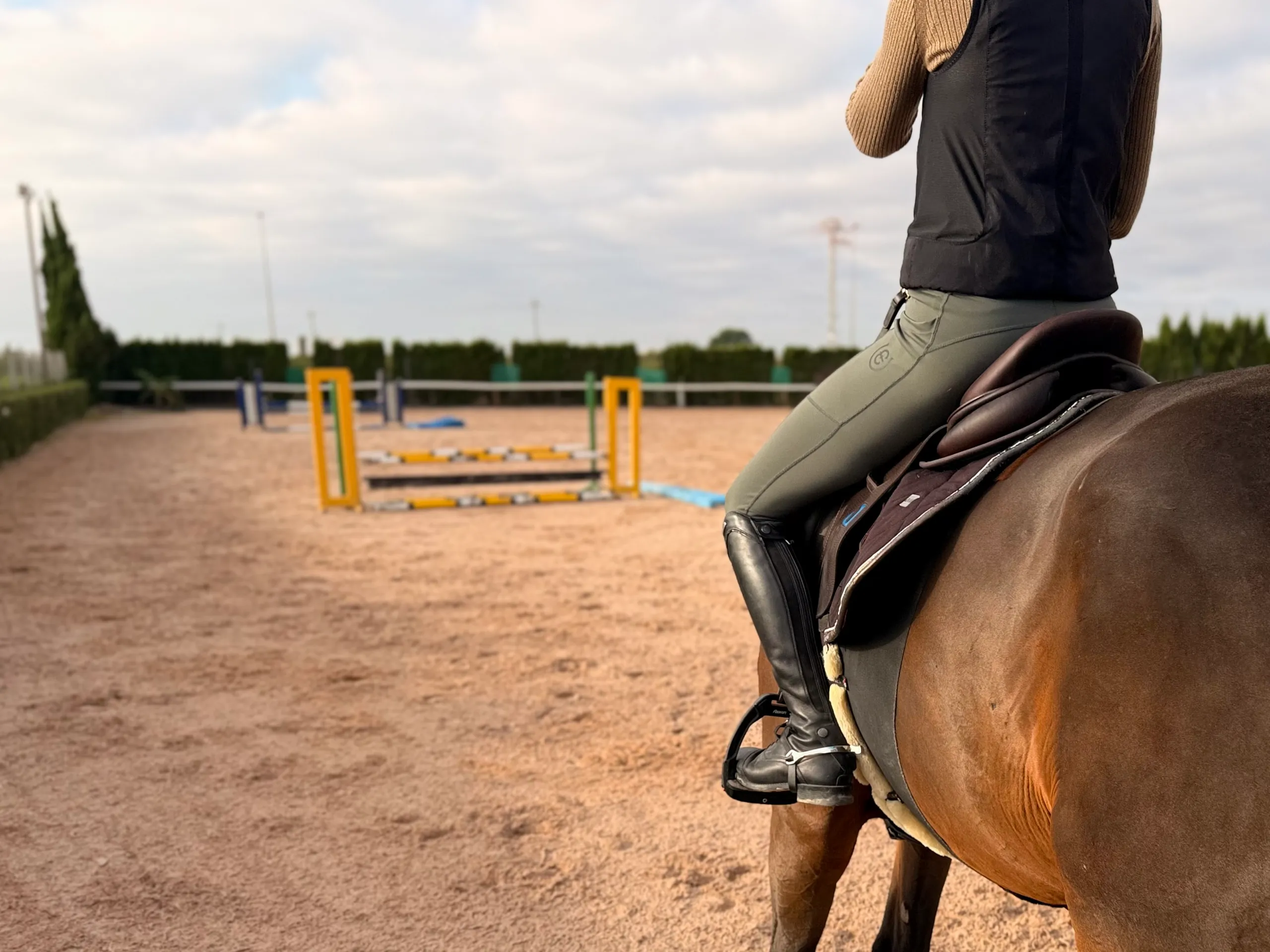 Jumping training with george